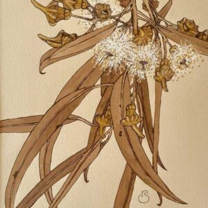 Coral Gum #1