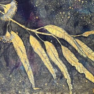 Eucalyptus sp #1