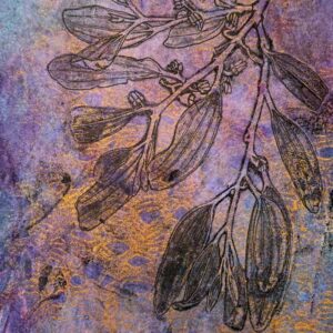 Grey Mistletoe #2
