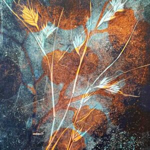 Kangaroo Grass  #1